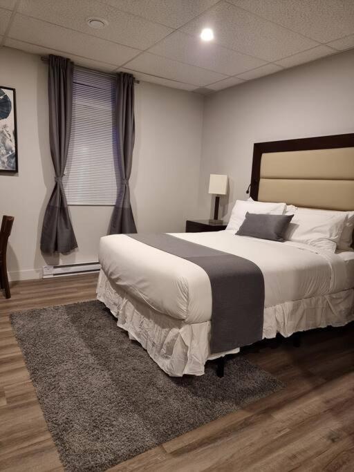 Cozy Sweet Studio #9. Ten Min To D.T Ottawa Gatineau Luaran gambar